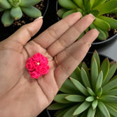 20mm Soft Fuzzy Roses Beads