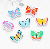 Colorful Butterfly Focals