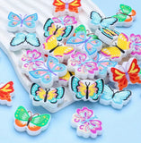 Colorful Butterfly Focals